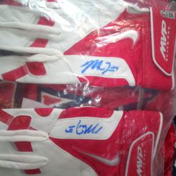 Angels Baseball Foundation Mike Trout Authenticated Autographed Baseball And Batting Gloves