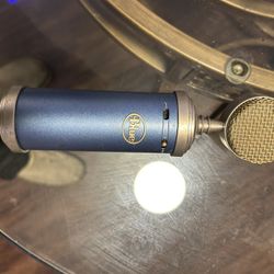 Blue Bird Mic