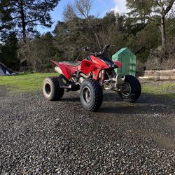 Kickstart 2004 Honda 450r