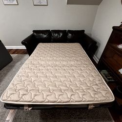 Leather Hide-A-Bed Couch