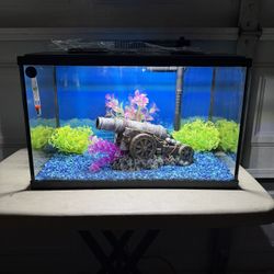 New 10 Gallon Fish Tank 