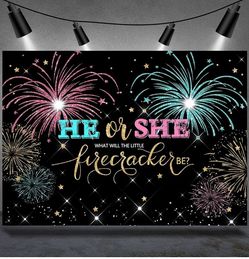 Gender reveal for BOY Decorations