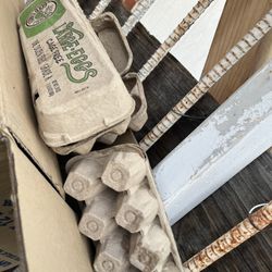 Empty Boxes Containers