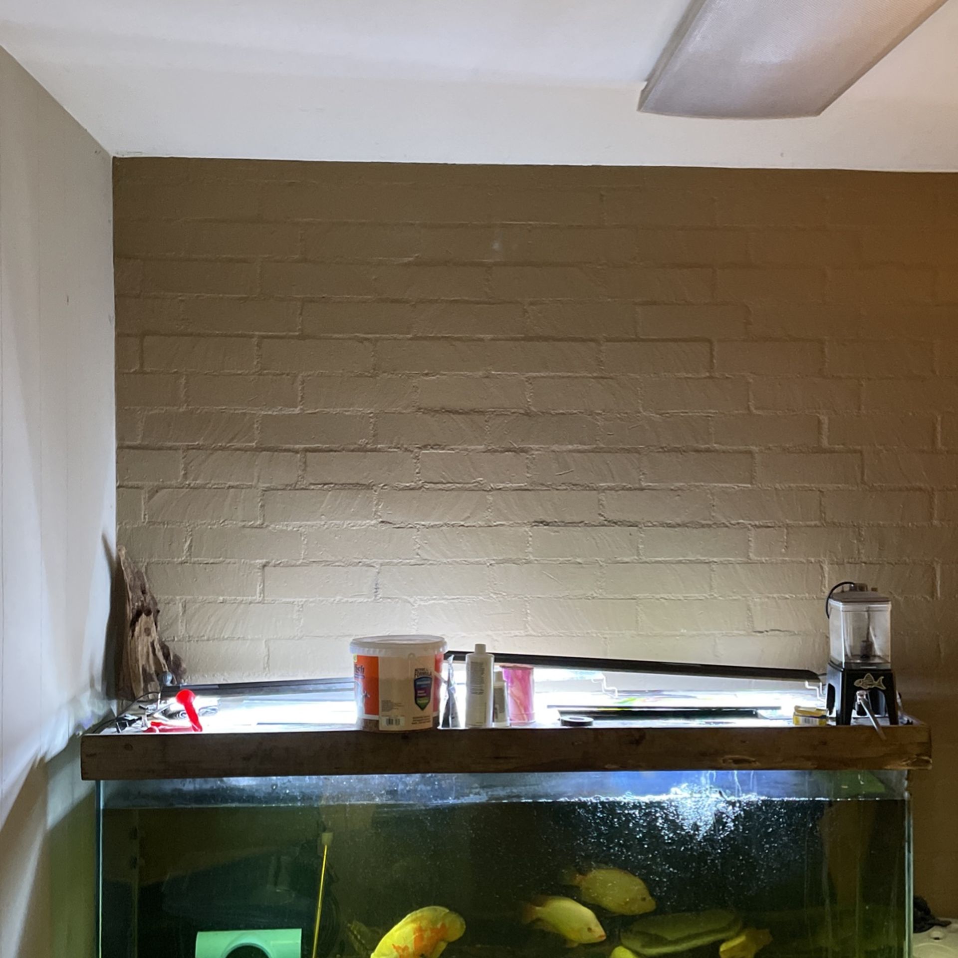 Large Fish Tank For Sale