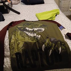 Dinosaur Longsleved Shirt