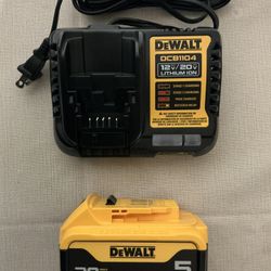 DEWALT. 20V MAX Lithium Ion 5.0Ah  Starter Kit.