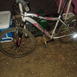 Swhinn Bike For Cheap 99$ Free Delivery 