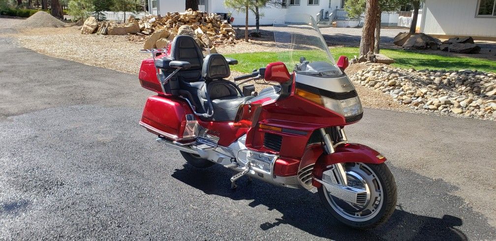 Gold Wing 🪽