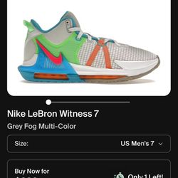 LEBRON WITNESS VII GS 