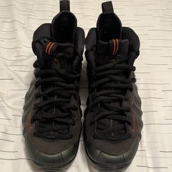 Nike Foamposite Pro Sequoia