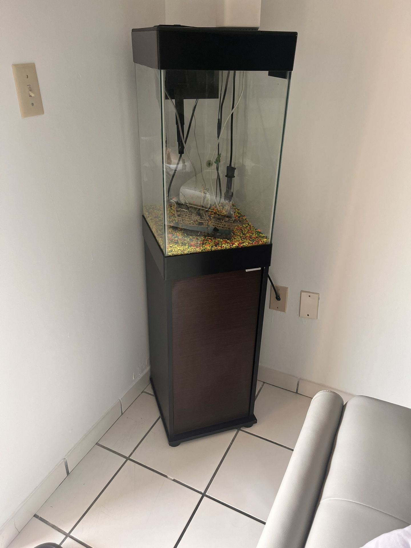 Fish Tank.   ( Pecera )