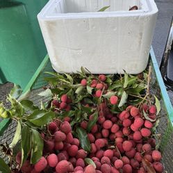Delicious Fresh Lychees For Sale By The Pound!