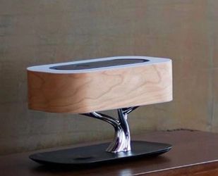 Lamp with charging station