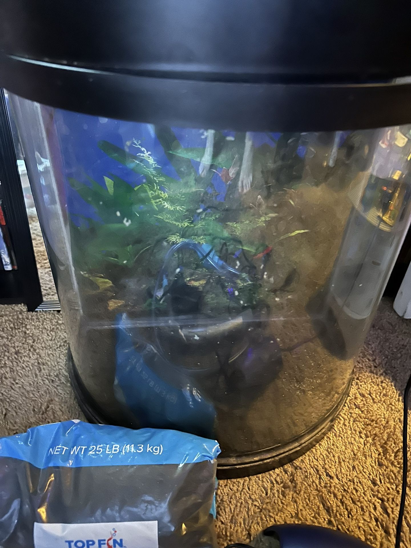 10 gallon Half Cylinder Fish Tank