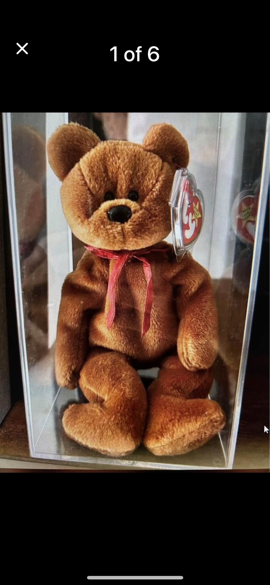 "RARE/RETIRED"-“TEDDY"-TY Beanie!!! (1-Owner)!!!😎