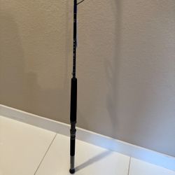 Daiwa  Darkwater Spinning Rod