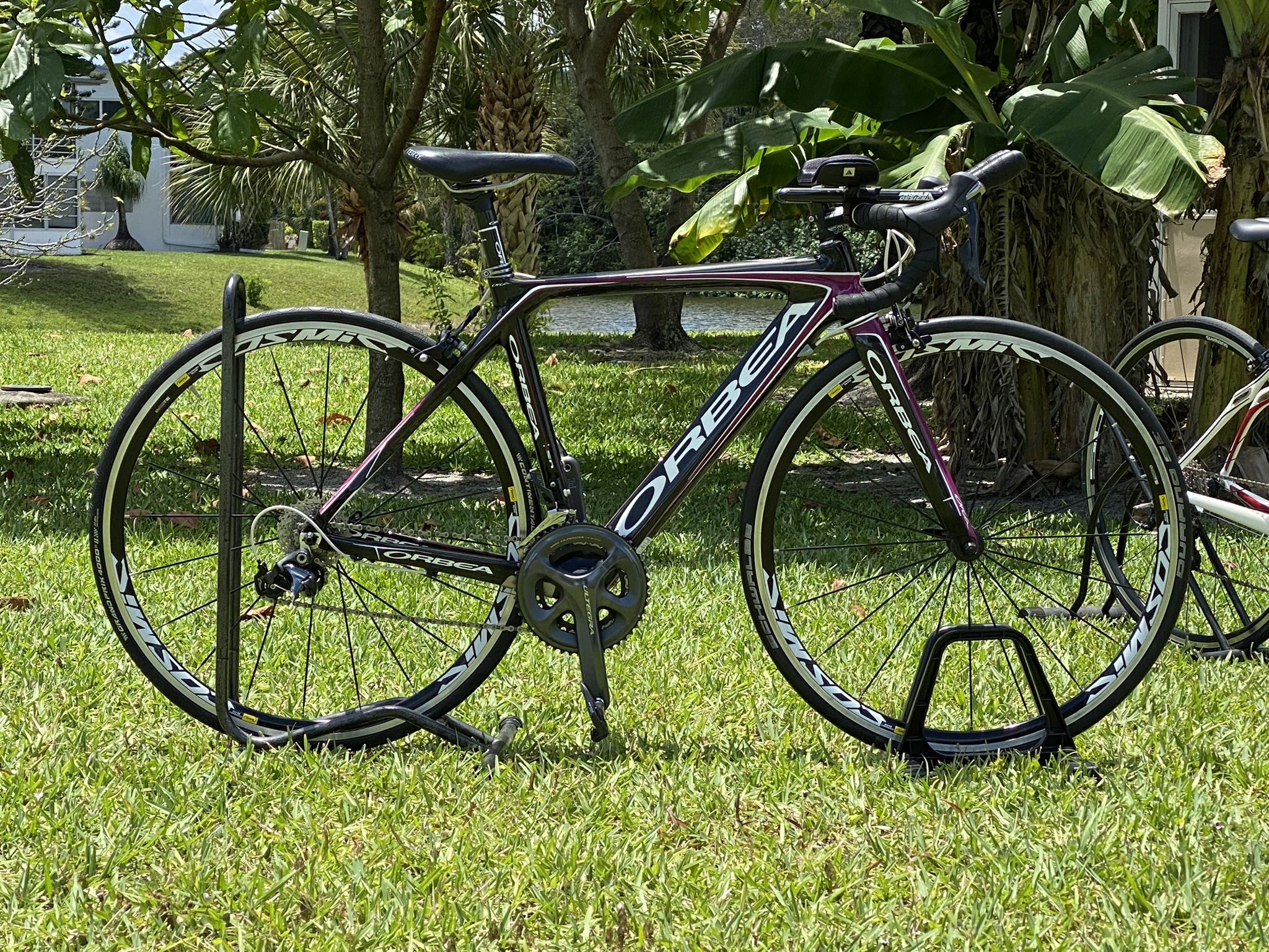 ORBEA ORCA- 52-53cm Carbon Fiber. Pristine Condition. Price is firm so don’t ask.