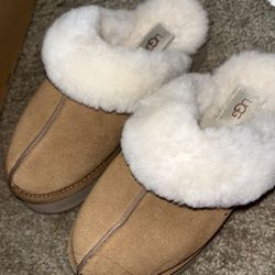 Women’s Uggs 