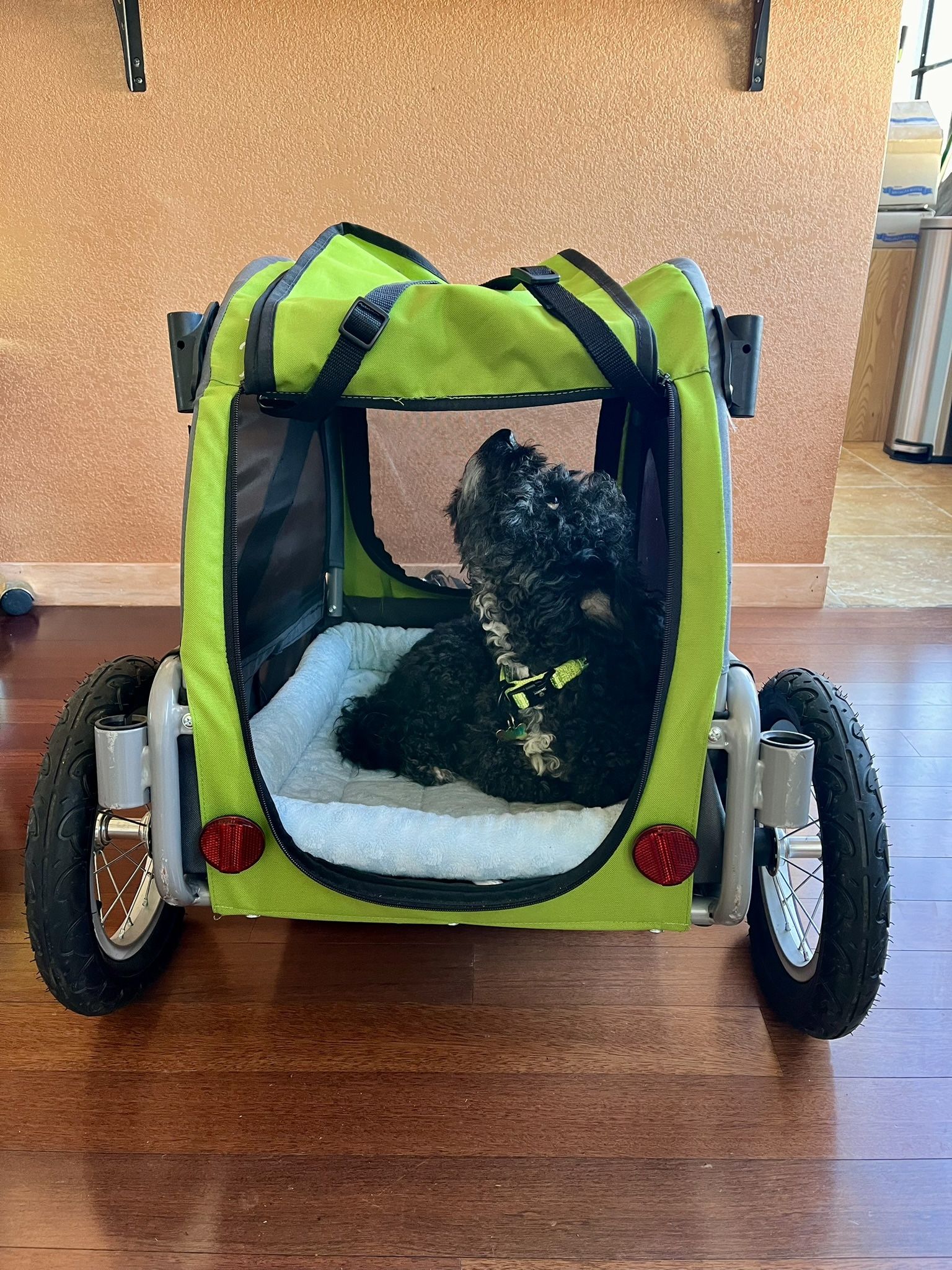 Dog Bike Trailer
