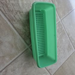 Tupperware Celery Container