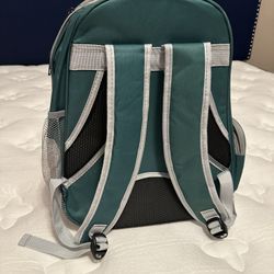Cat/dog Carrier