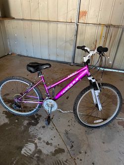 Kent Terra 2.4 Mountain Bike Purple