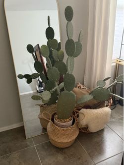 World Market Faux Prickly Pear Cactus Plant
