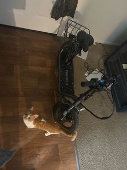 Electric Scooter Bike