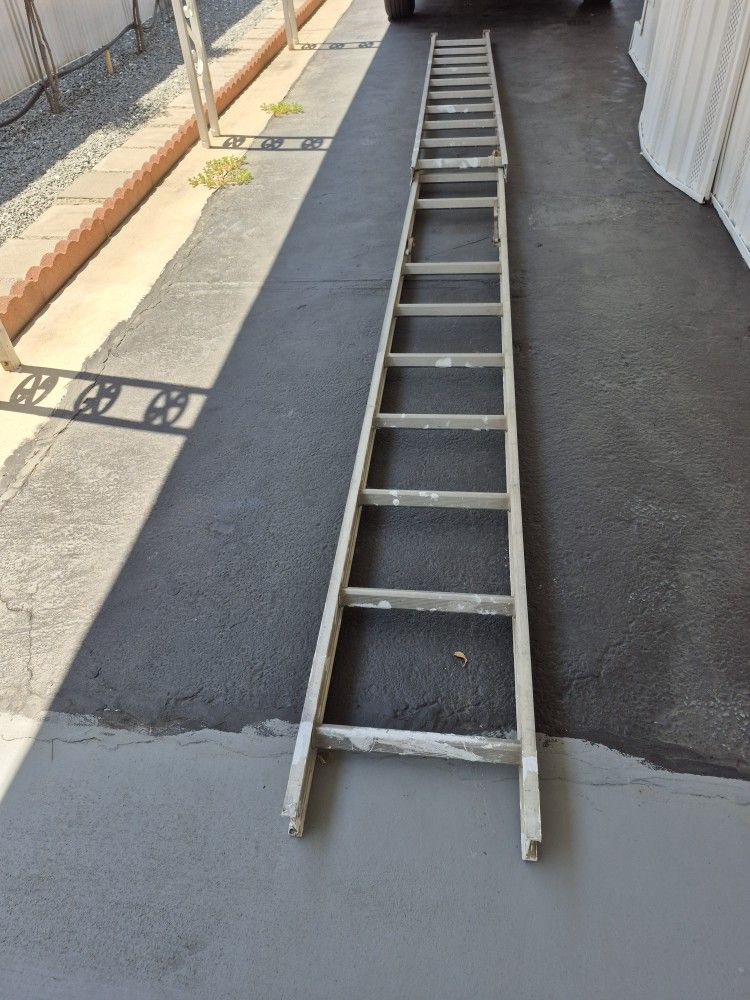 Ladder 19'