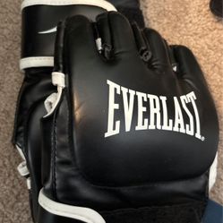 Everlast Grappling Gloves 