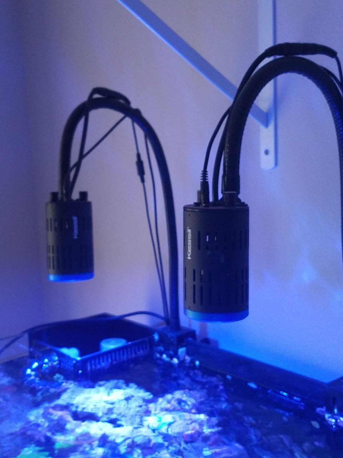 2x Kessil a160we + controller - 350