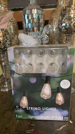30 ct lights