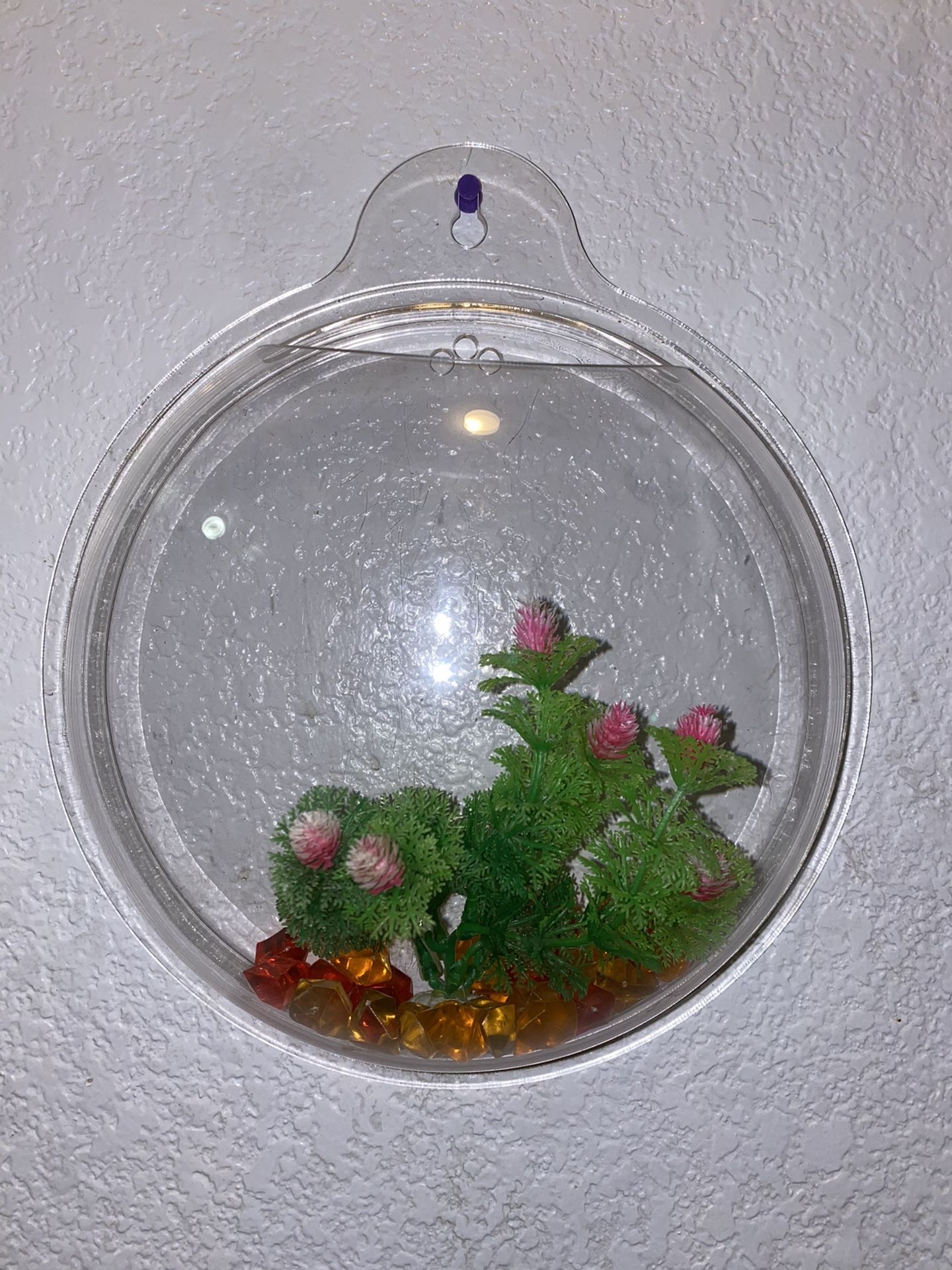 Small hanging plastic fish tank