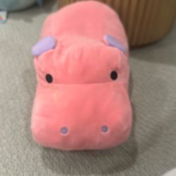 Mochipuni Hippo