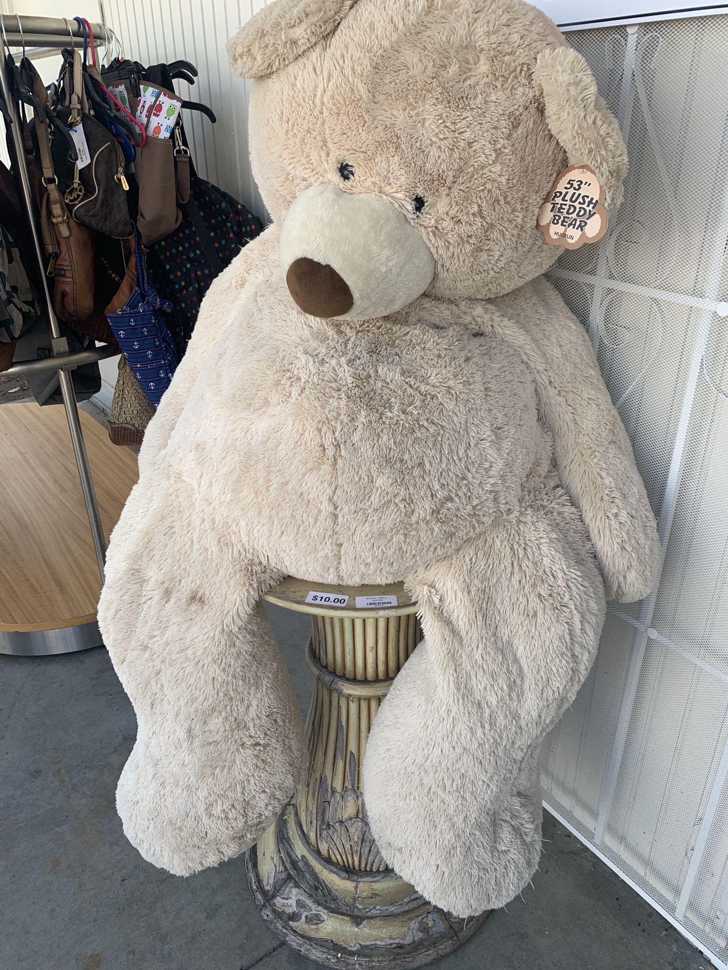 Large Teddy Bear $5