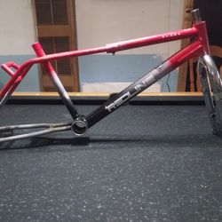 Old School BMX Bike 1988 Redline RL-20b Freestyle Bicycle Frame and Fork