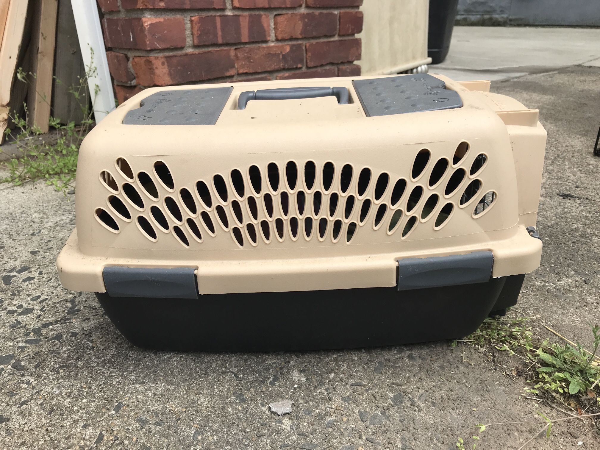 Pets Taxi