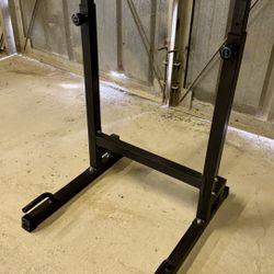 Dip Station with Adjustable Height
