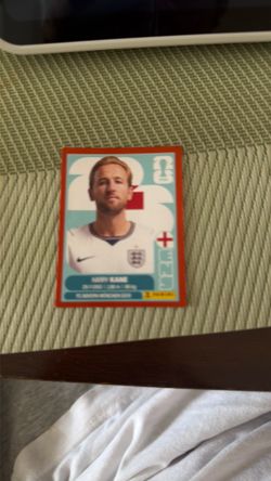 Panini stickers