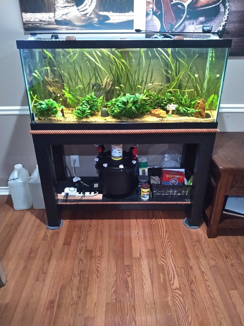 75 Fresh Water With Stand