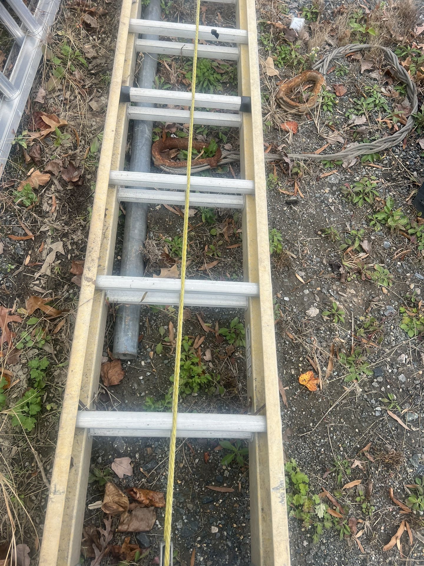 Extension Ladder