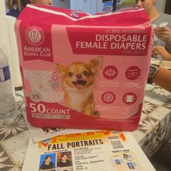 Disposable Female Dog Diapers