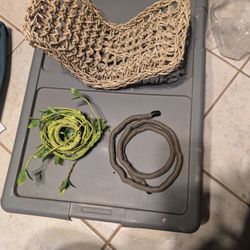 New Reptile Supplies For Tank