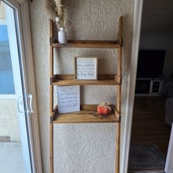 Ladder  Shelf