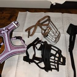 Dog Muzzles And Harness 