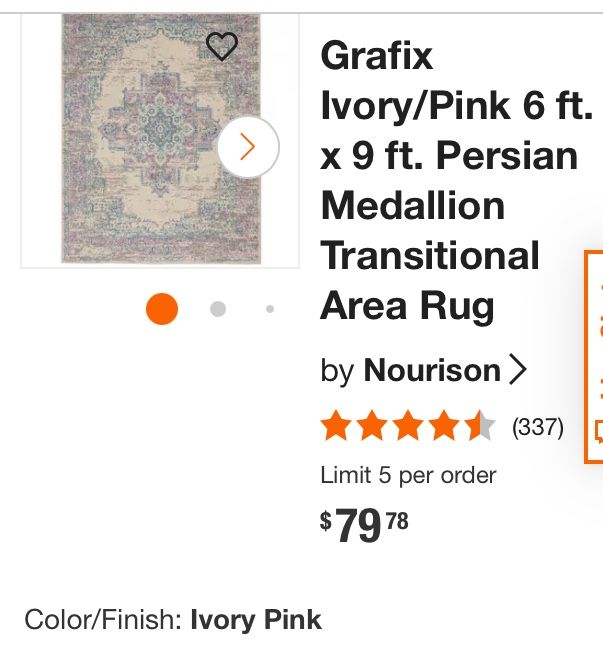 Persian Medallion Transitional Area Rug