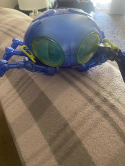 Blue beetle