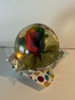 Rainbow Rose Globe 