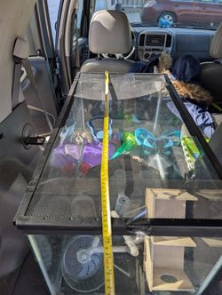 60 Gallon Reptile Tank