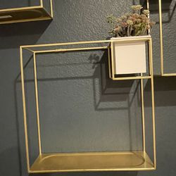 Wall Frame Shelves With Plant Holder